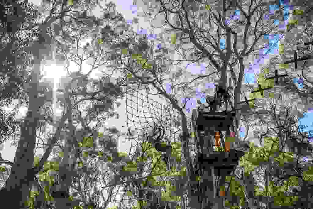 TreeClimb Adelaide Parks