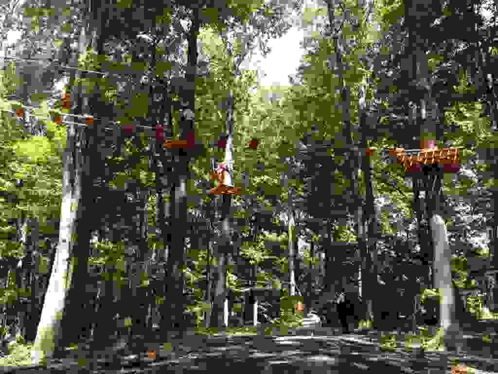 Treetop Trekking Brampton Parks