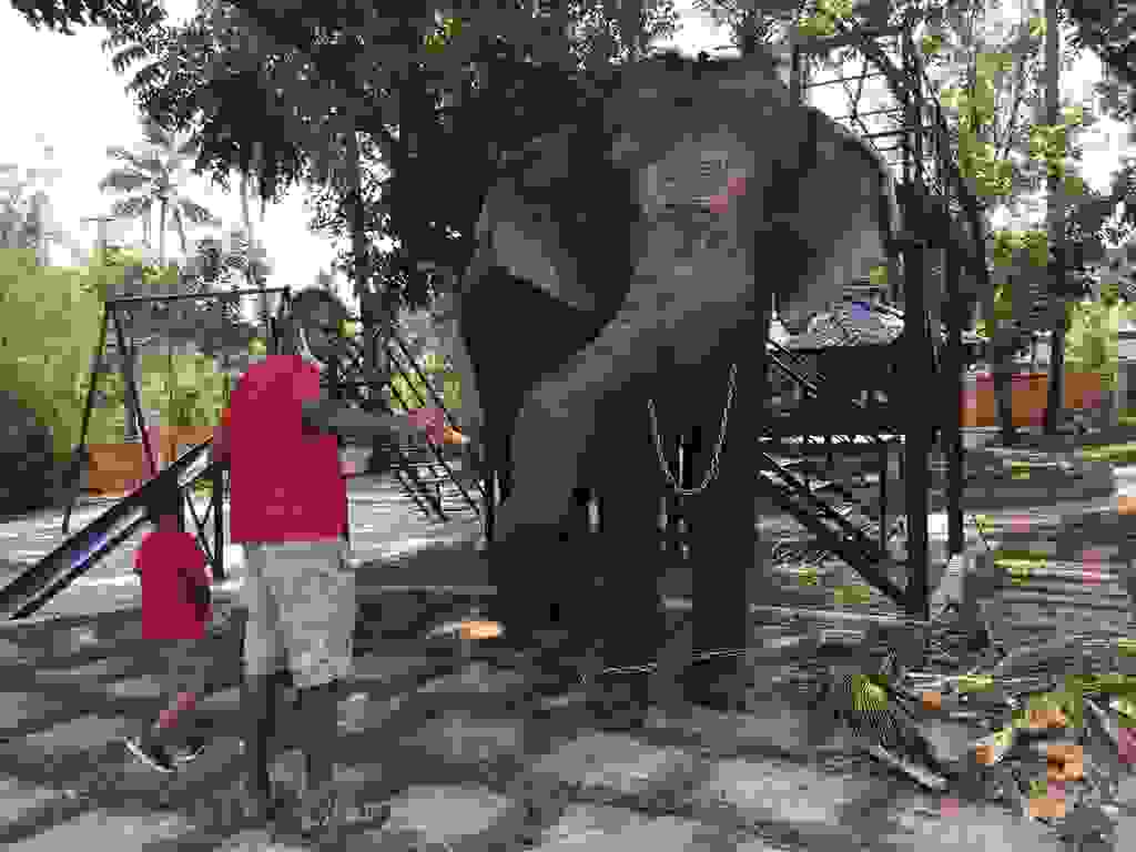 Kaveri Elephant Park Parks