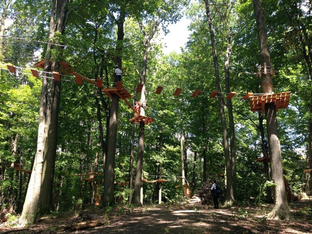 Treetop Trekking Brampton Logo