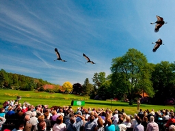 Weltvogelpark Walsrode Logo