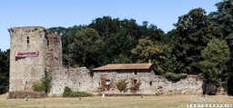 Château Des Essarts Vendée Logo