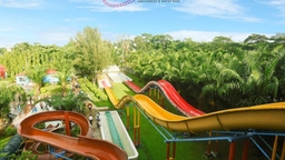 Dreamland Amusement & Water Park Logo