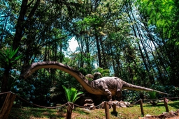 Vale dos Dinossauros Canela Logo