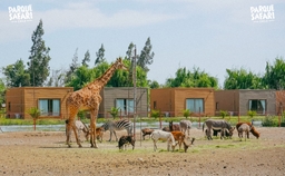 Chile Safari Park Logo