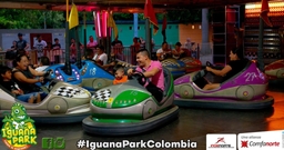 Iguana Amusement Park Logo